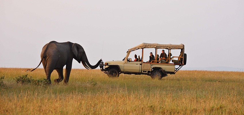4 days Masai Mara